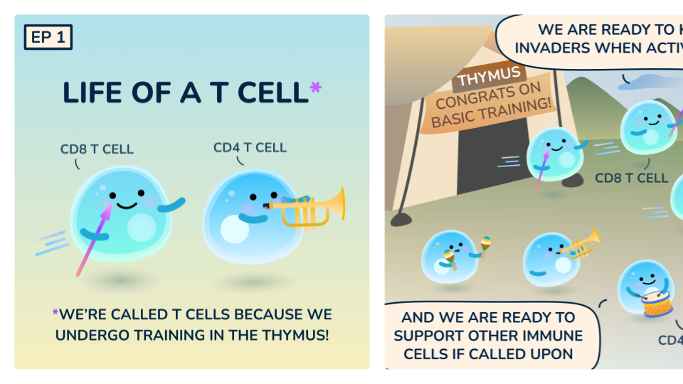 Cell stories example